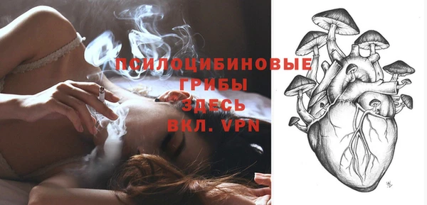 mix Няндома