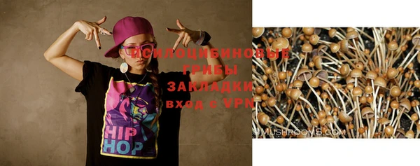 MDMA Premium VHQ Нязепетровск